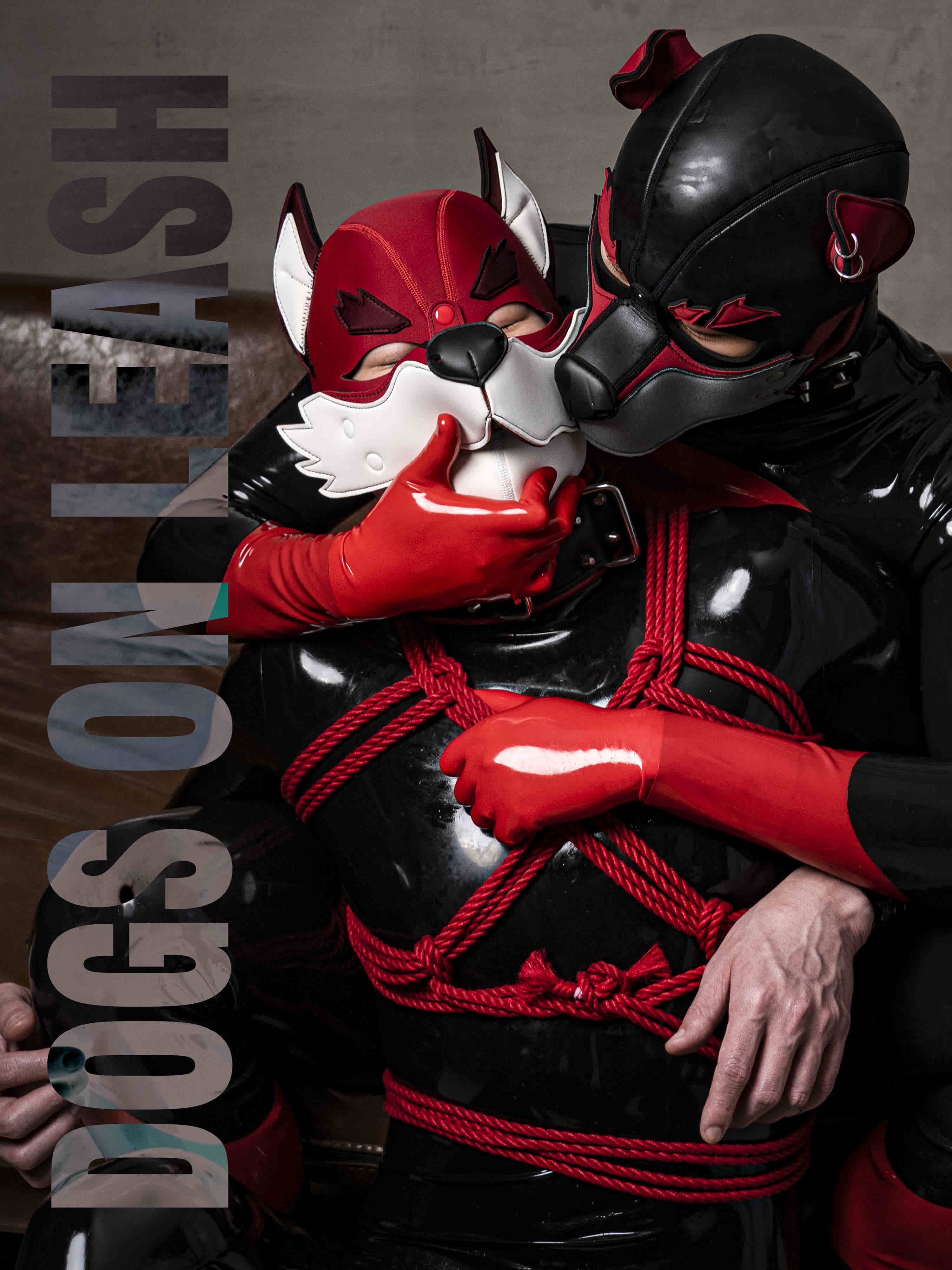 DOGS ON LEASH