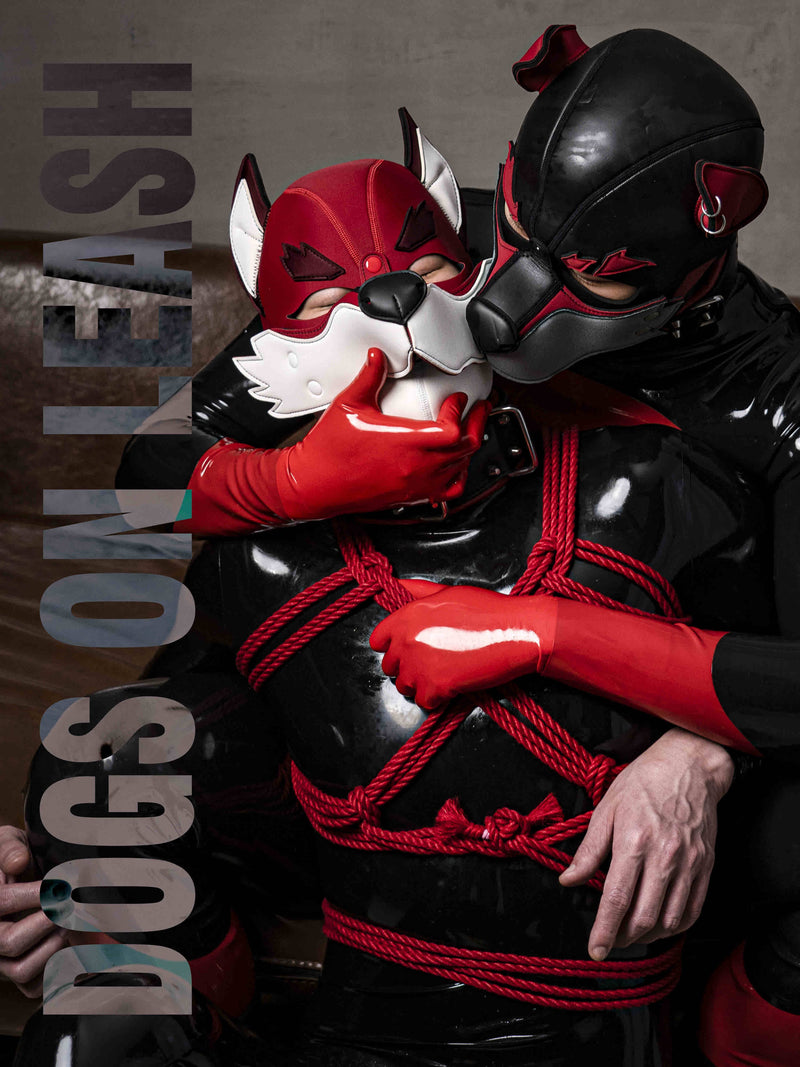 DOGS ON LEASH
