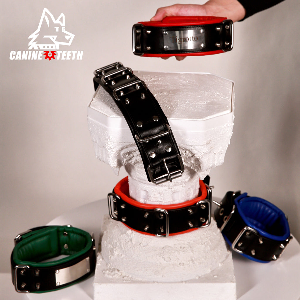 ANUBIS - 02 Standard Leather Collar/Neck Restraints