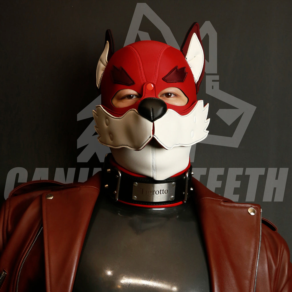 XOLOTL — 04 // FOX hood
