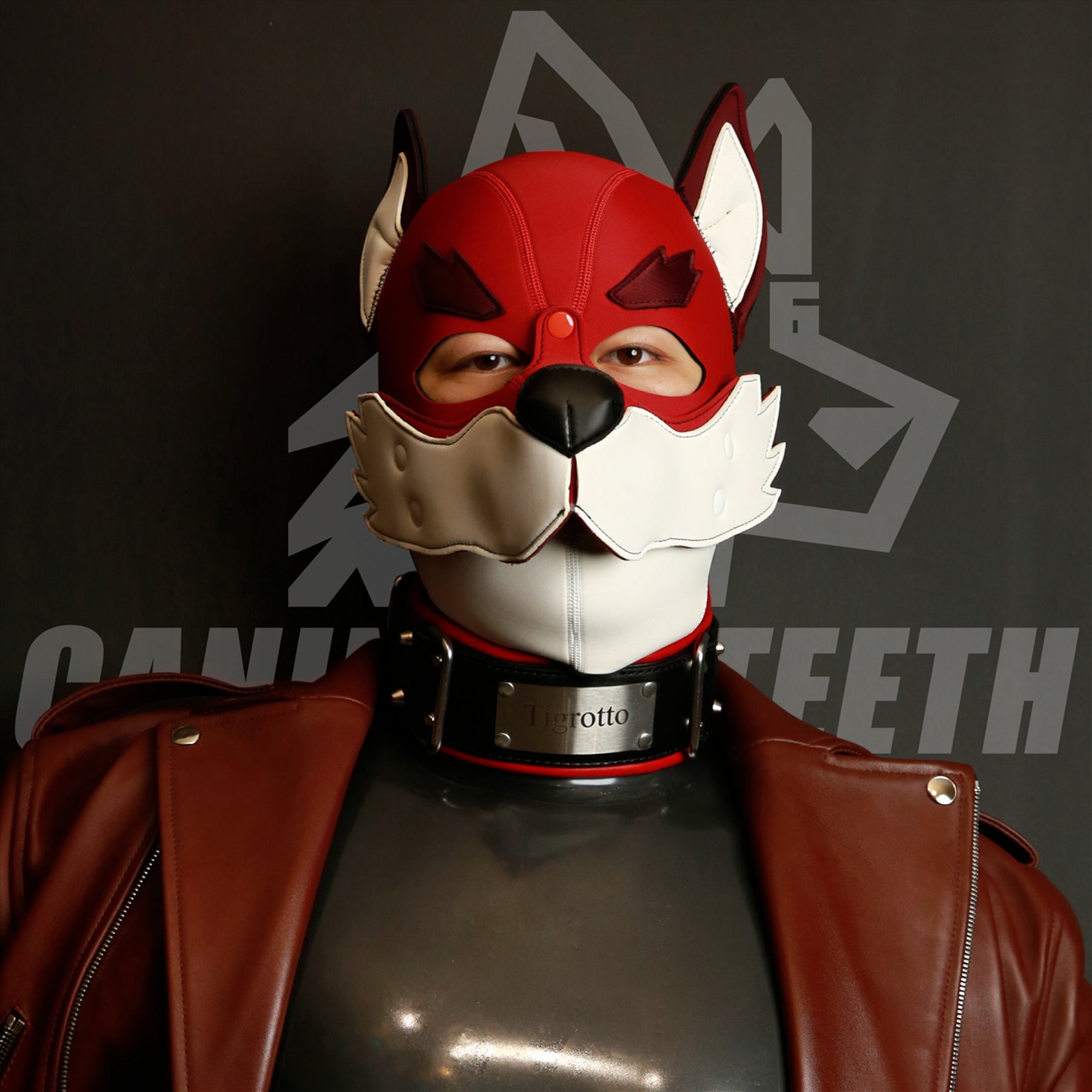 XOLOTL — 04 // FOX hood