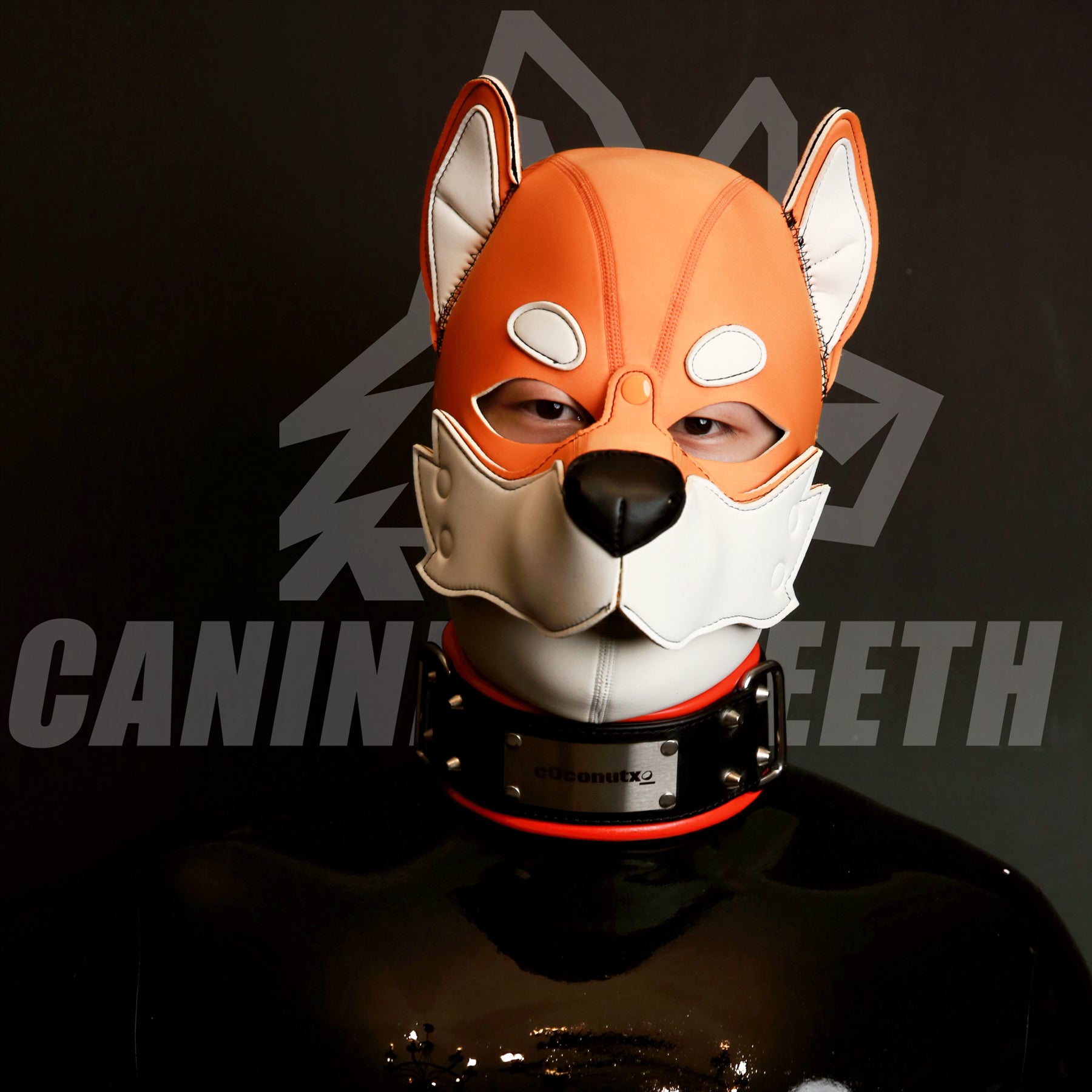 XOLOTL - 03 SHIBA INU Hood