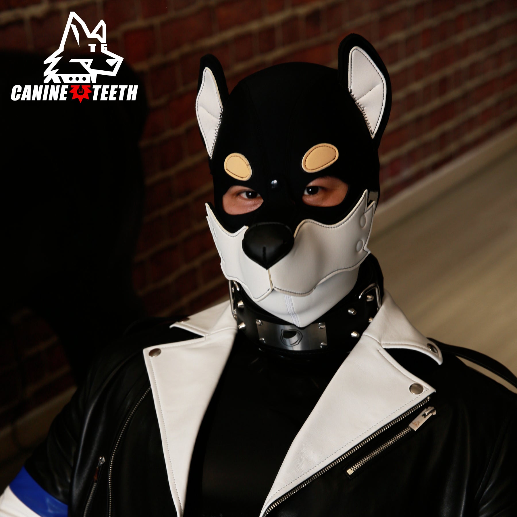 XOLOTL - 03 SHIBA INU Hood