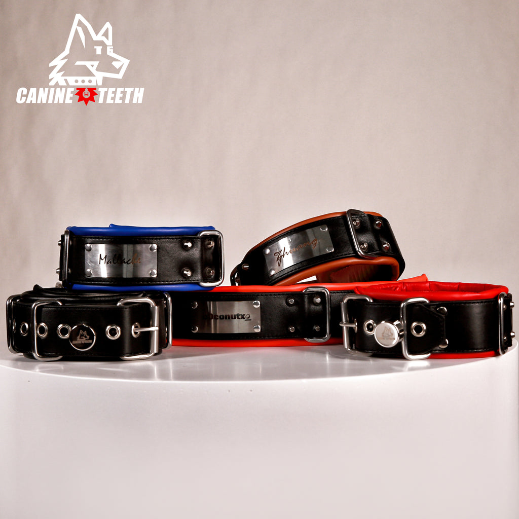 ANUBIS - 01 Custom Leather Collar/Neck Restraints