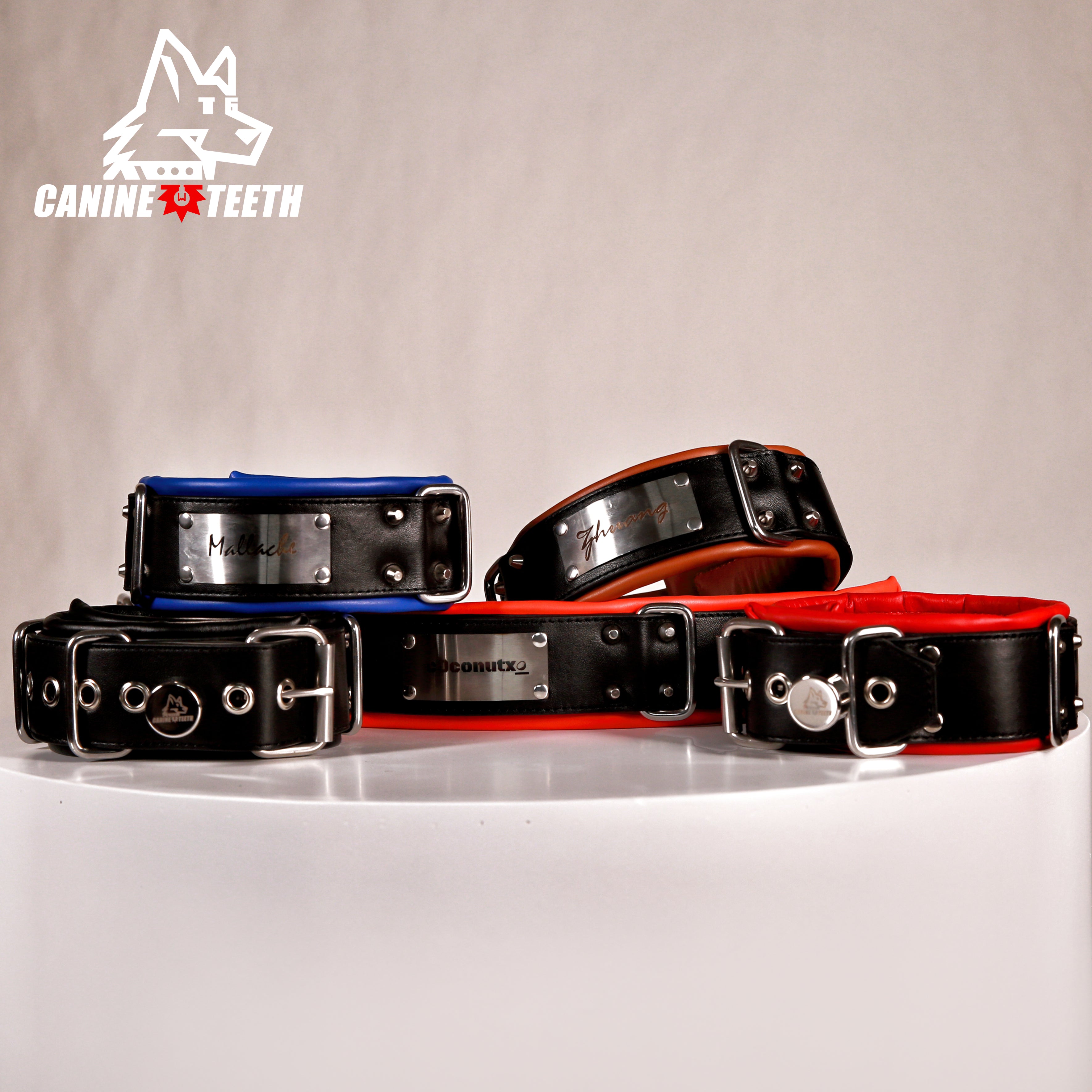 ANUBIS - 01 Custom Leather Collar/Neck Restraints