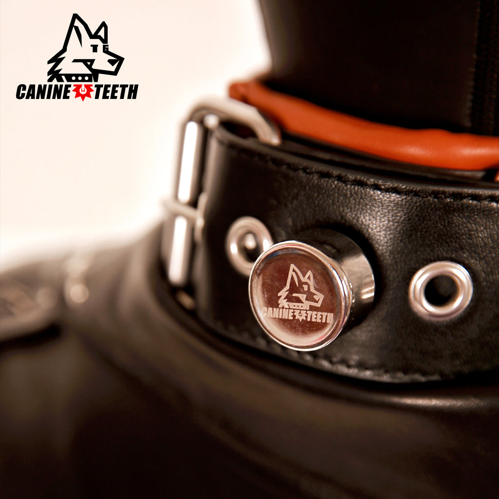 ANUBIS - 02 Standard Leather Collar/Neck Restraints