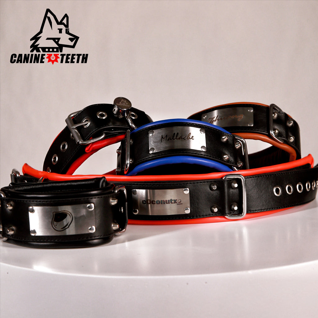ANUBIS - 01 Custom Leather Collar/Neck Restraints
