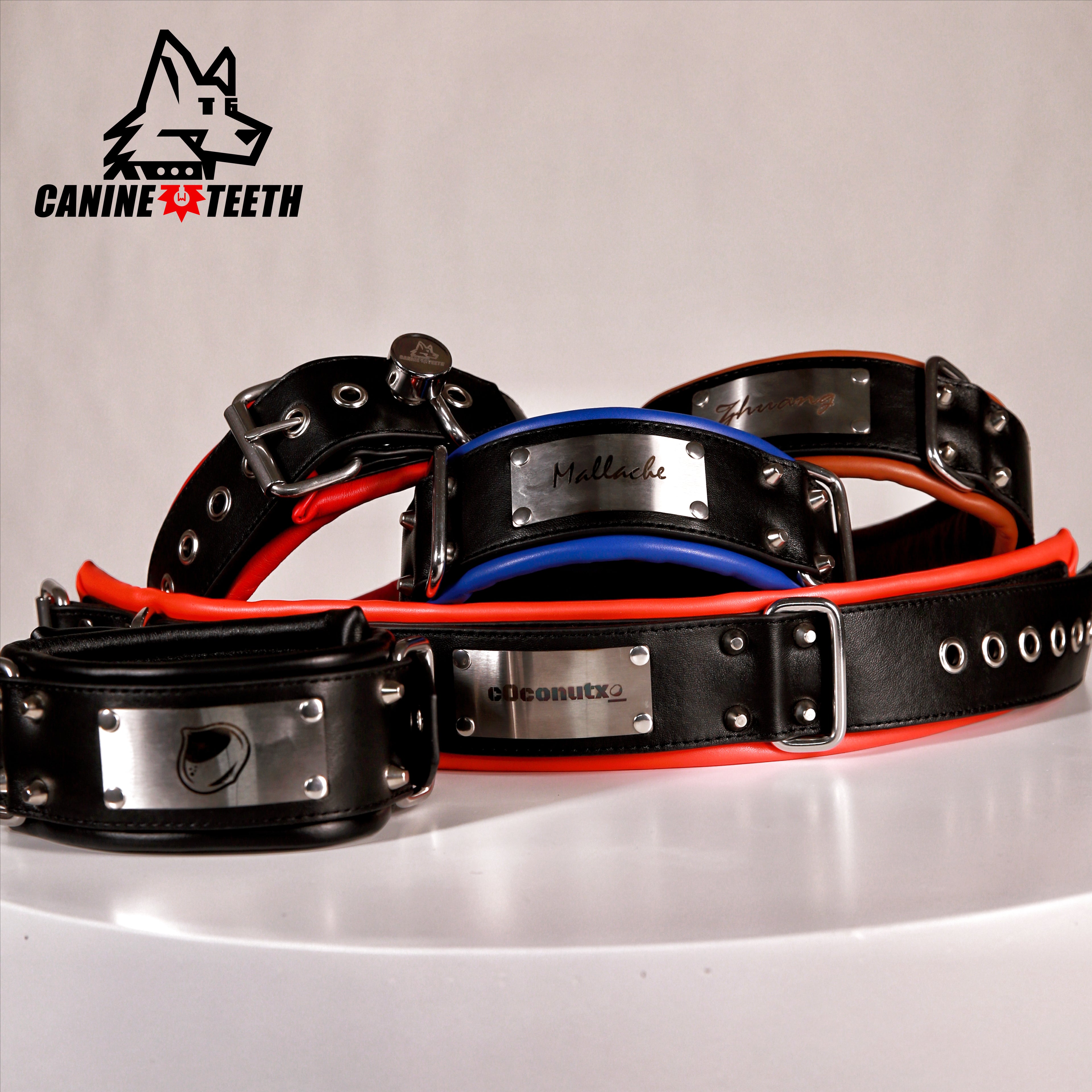 ANUBIS - 01 Custom Leather Collar/Neck Restraints