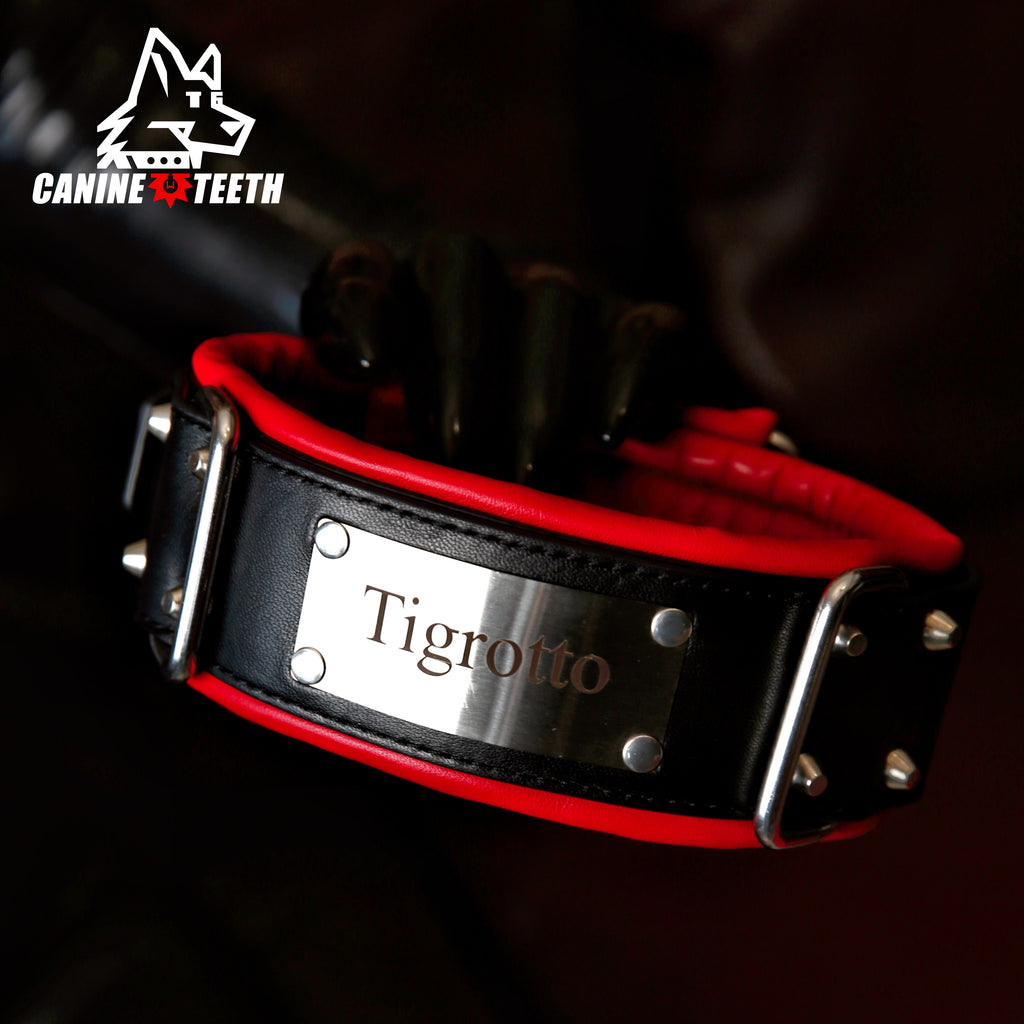 ANUBIS - 01 Custom Leather Collar/Neck Restraints
