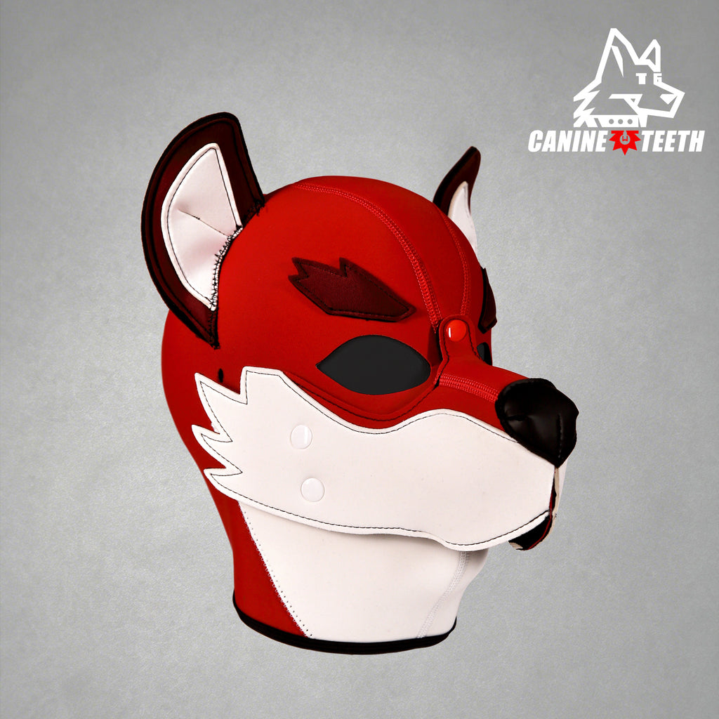 XOLOTL — 04 // FOX hood