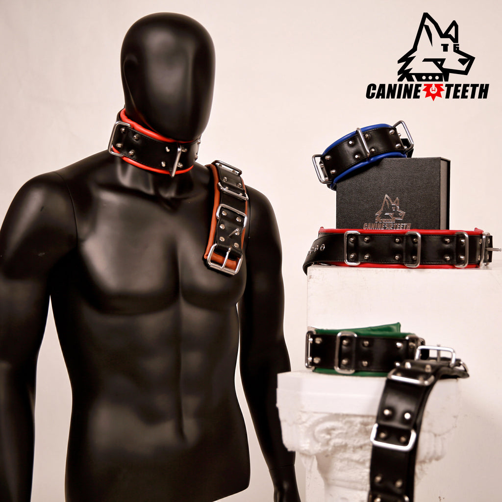 ANUBIS - 02 Standard Leather Collar/Neck Restraints