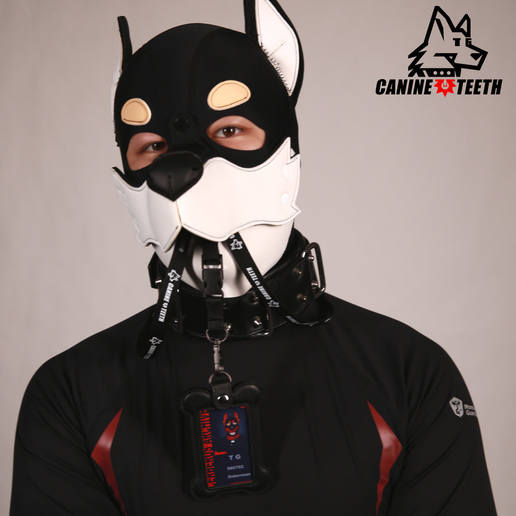 CERBERUS ARCHIVE - NFC ID CARDS
