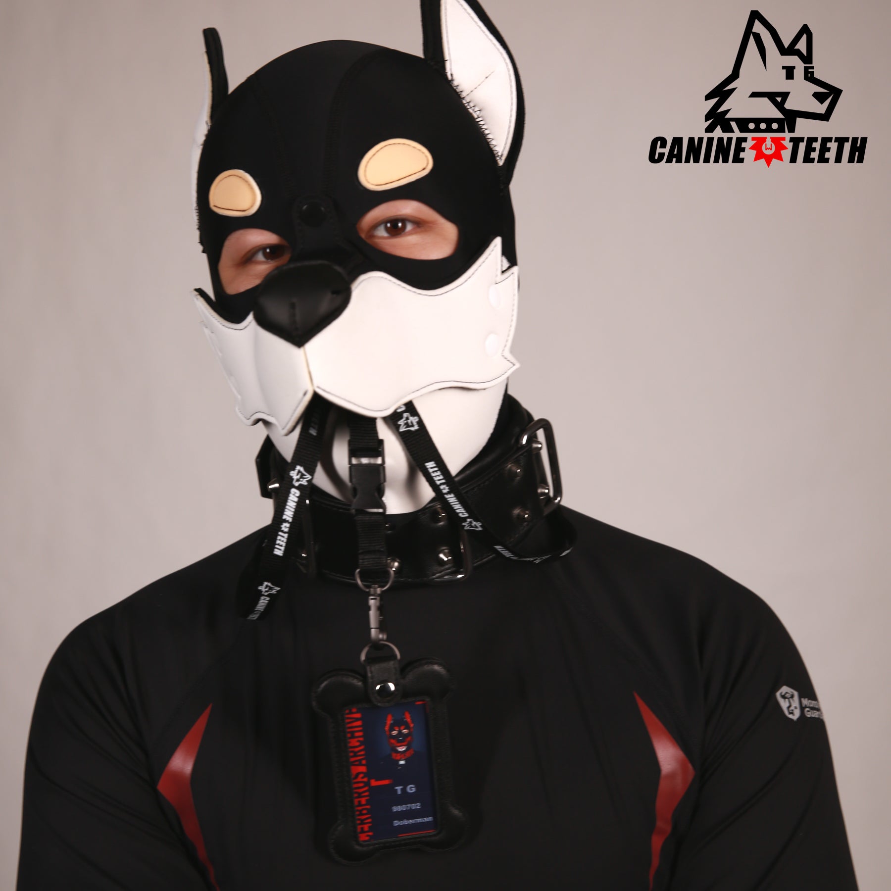 CERBERUS ARCHIVE - NFC ID CARDS