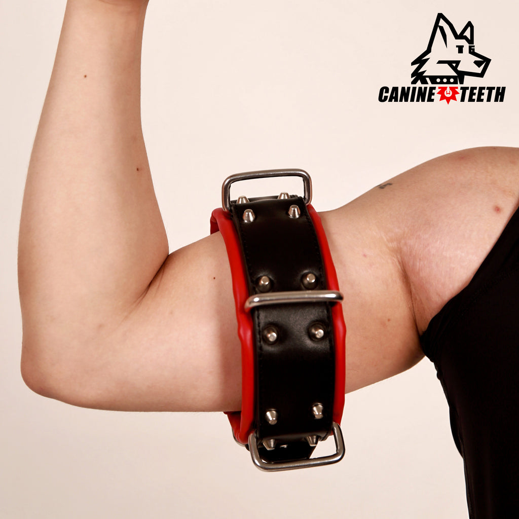 ANUBIS - 02 Standard Leather Collar/Neck Restraints