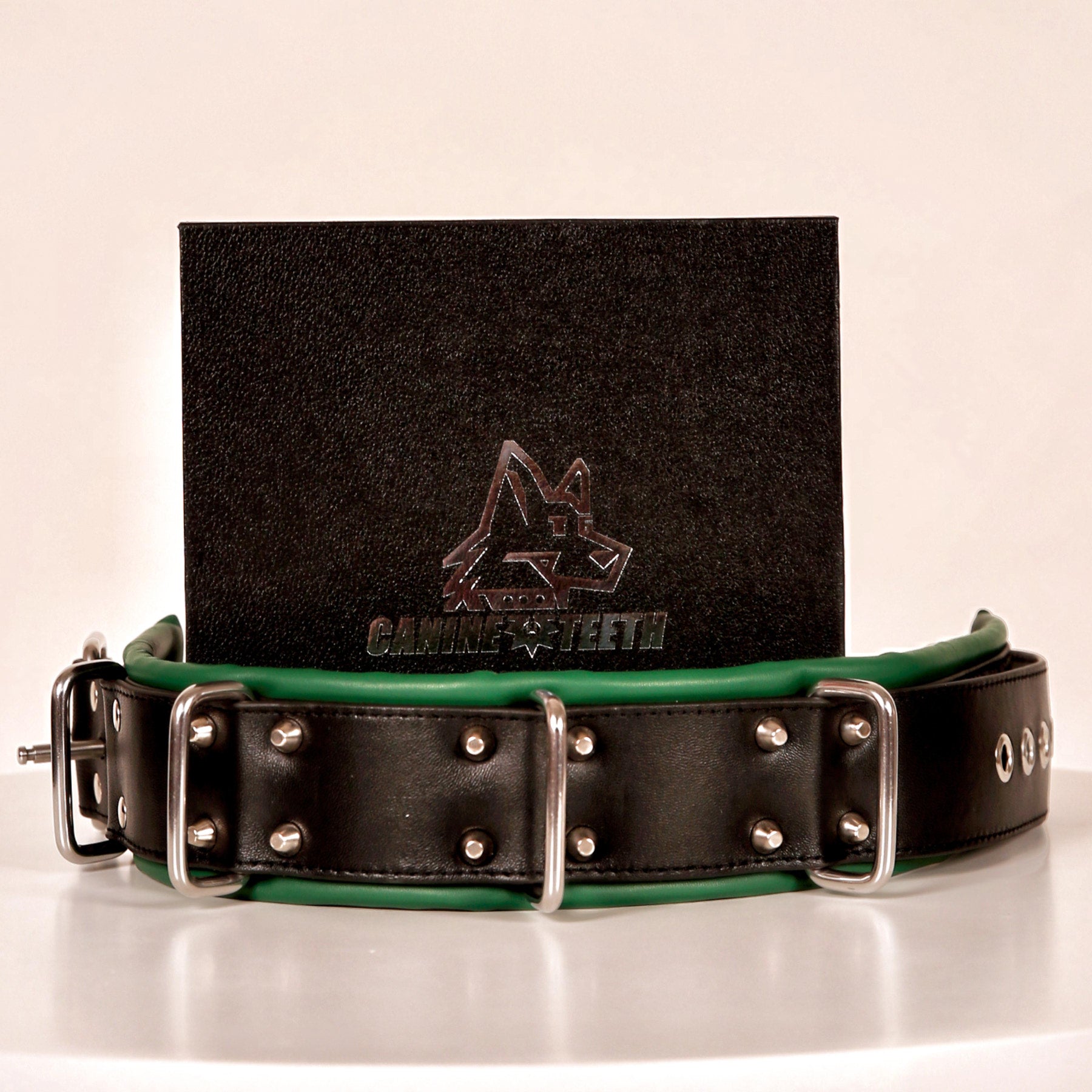 ANUBIS - 02 Standard Leather Collar/Neck Restraints