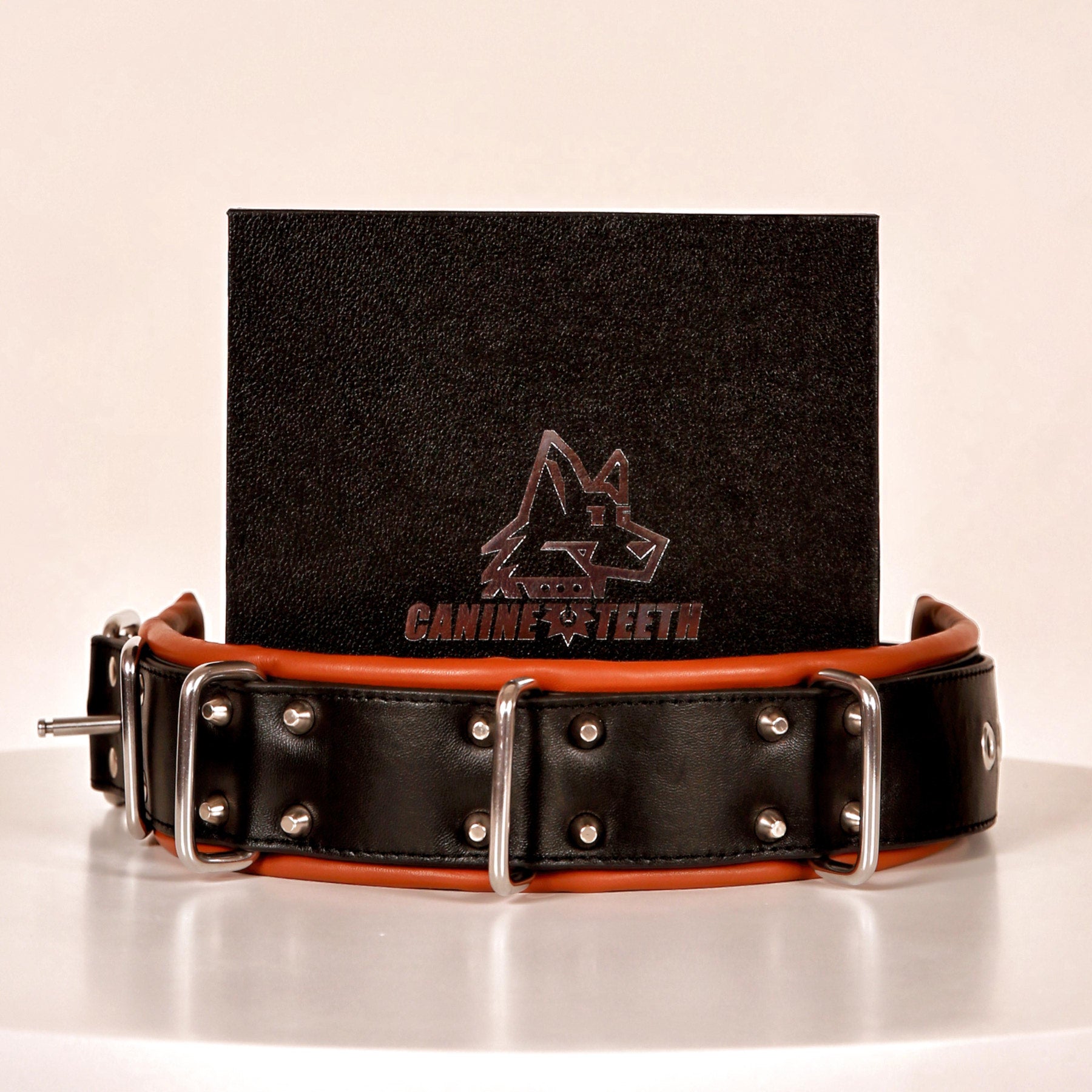 ANUBIS - 02 Standard Leather Collar/Neck Restraints