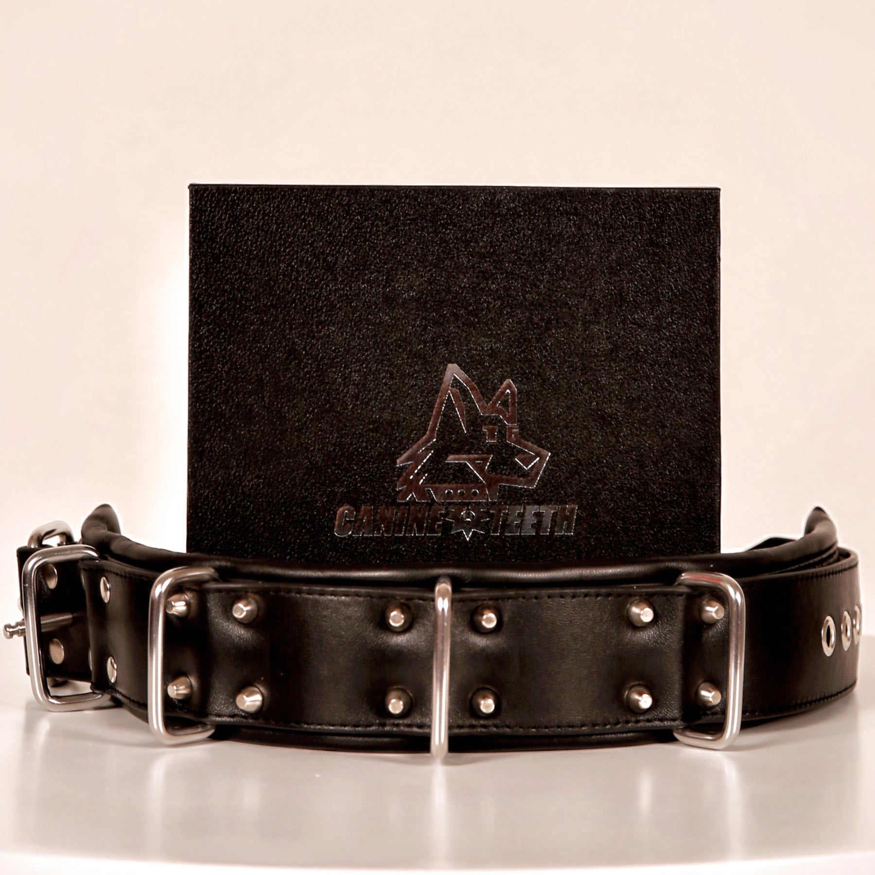 ANUBIS - 02 Standard Leather Collar/Neck Restraints