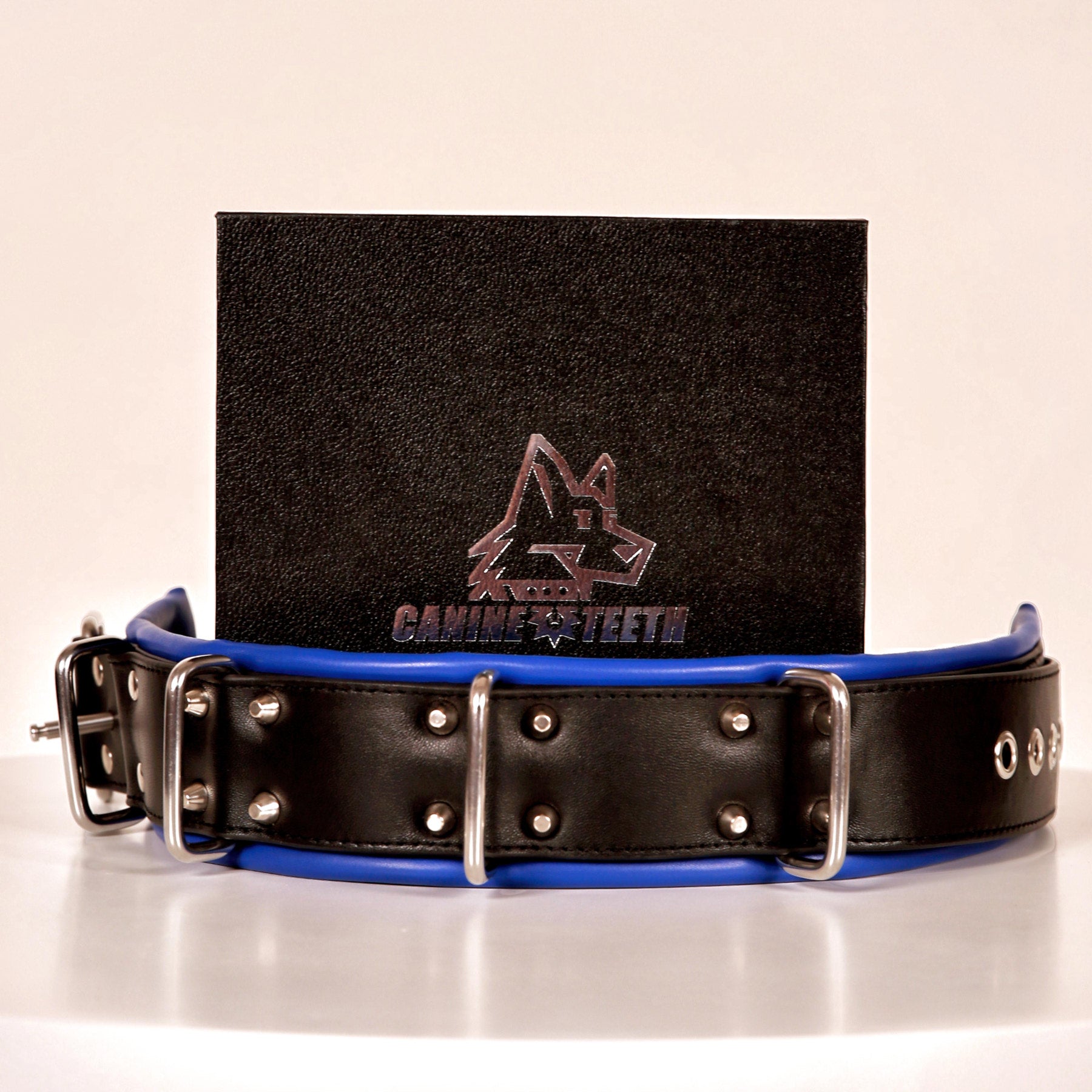 ANUBIS - 02 Standard Leather Collar/Neck Restraints