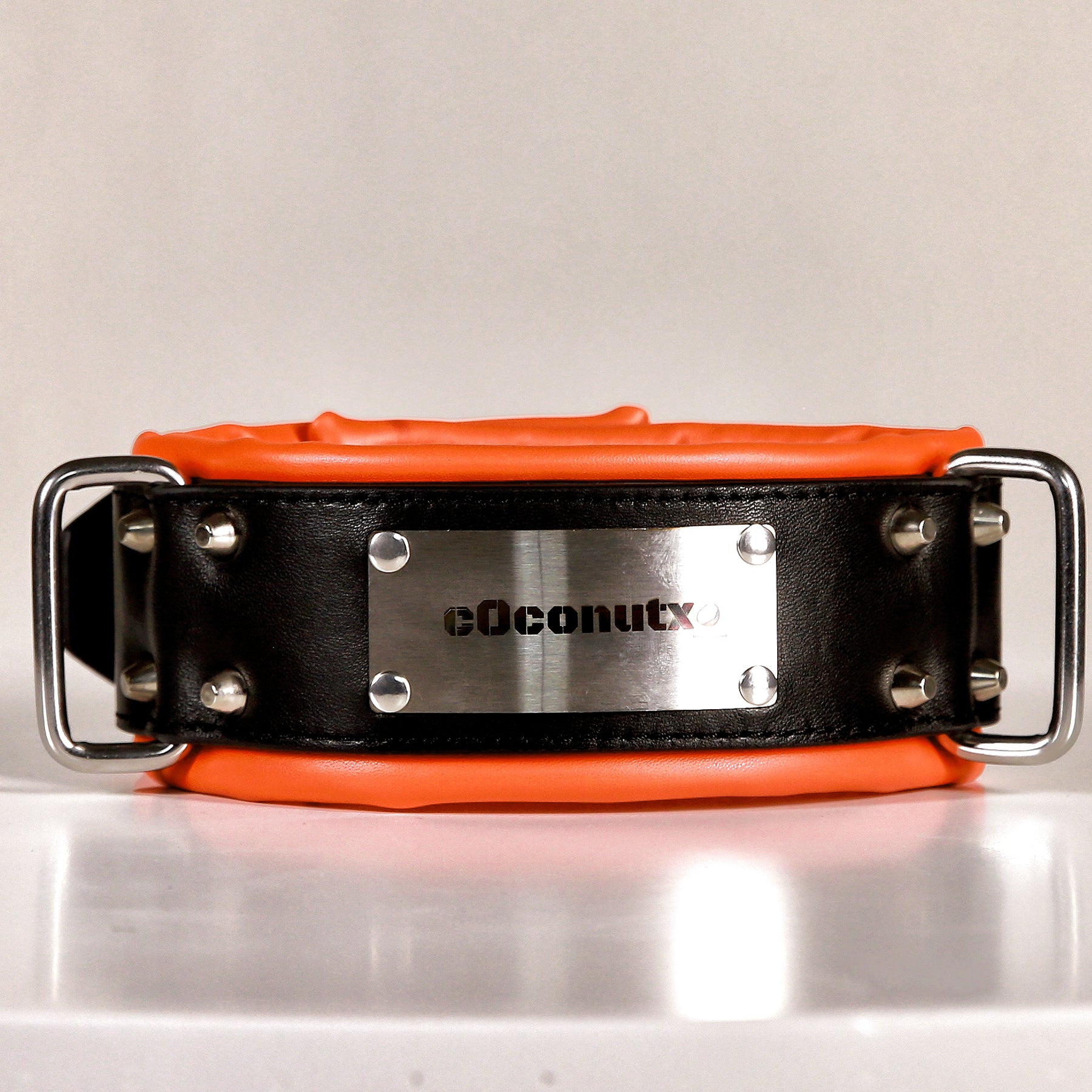 ANUBIS - 01 Custom Leather Collar/Neck Restraints