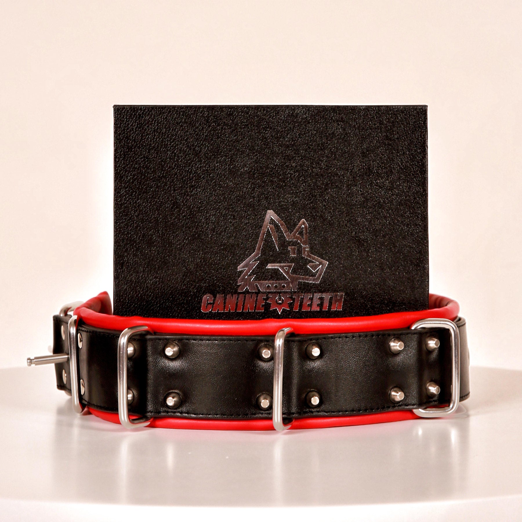 ANUBIS - 02 Standard Leather Collar/Neck Restraints