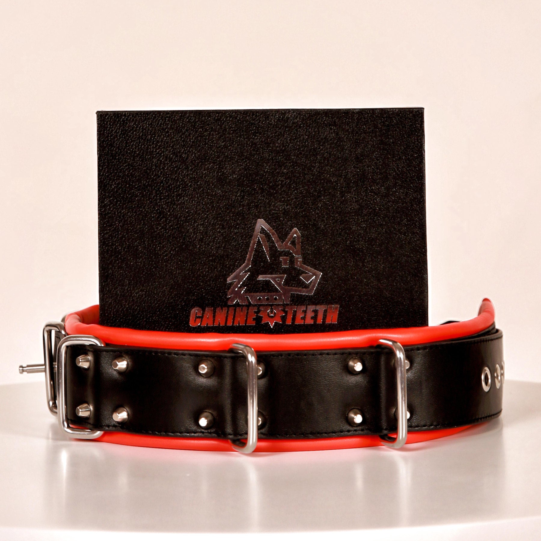 ANUBIS - 02 Standard Leather Collar/Neck Restraints