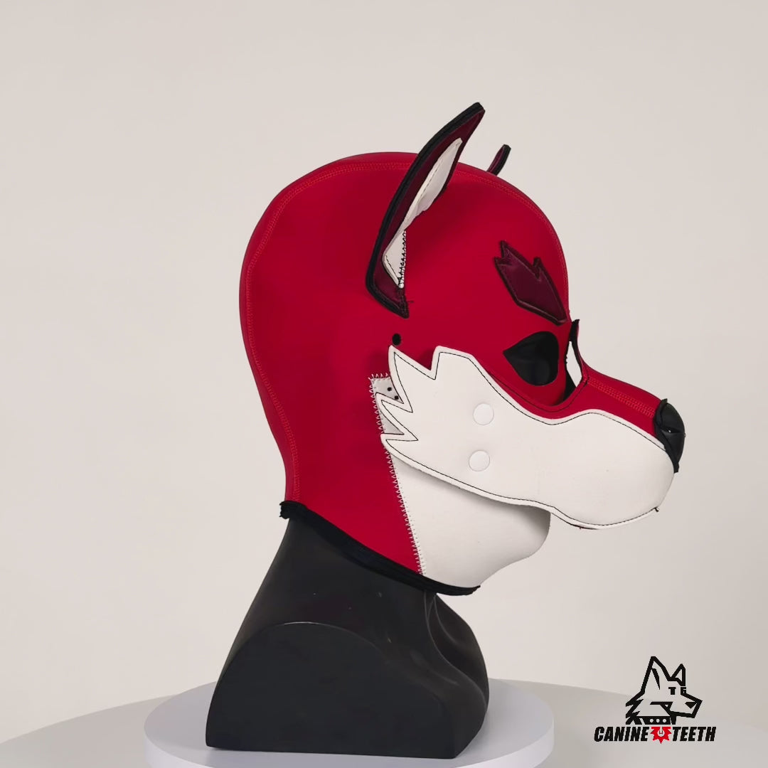XOLOTL — 04 // FOX hood