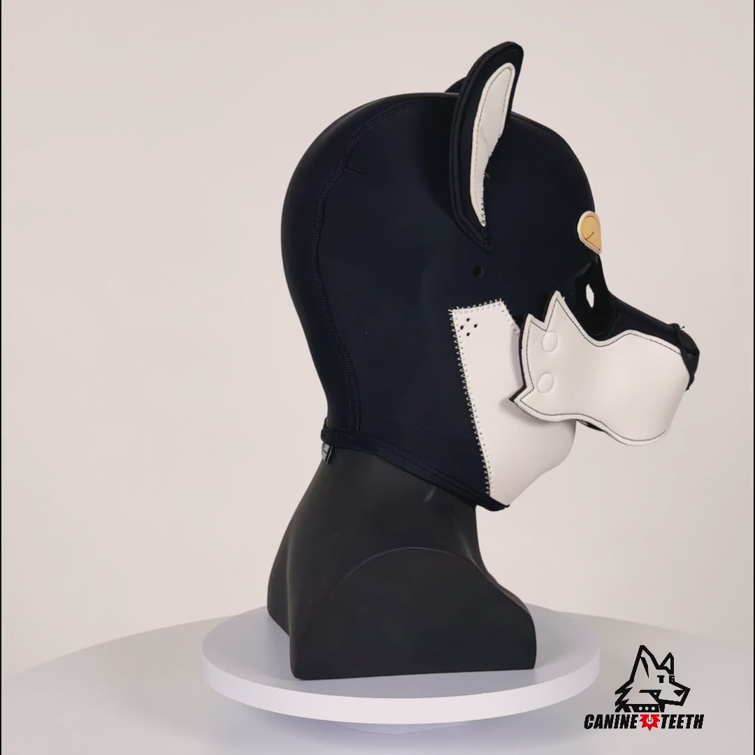 XOLOTL - 03 SHIBA INU Hood